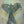Angel Warm-Up Paintings (Scroll Through to View and Choose)