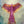 Angel Warm-Up Paintings (Scroll Through to View and Choose)