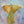 Angel Warm-Up Paintings (Scroll Through to View and Choose)