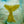 Angel Warm-Up Paintings (Scroll Through to View and Choose)