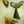Angel Warm-Up Paintings (Scroll Through to View and Choose)