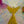 Angel Warm-Up Paintings (Scroll Through to View and Choose)