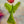 Angel Warm-Up Paintings (Scroll Through to View and Choose)