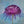 The Flower Who Dreamed of Rain